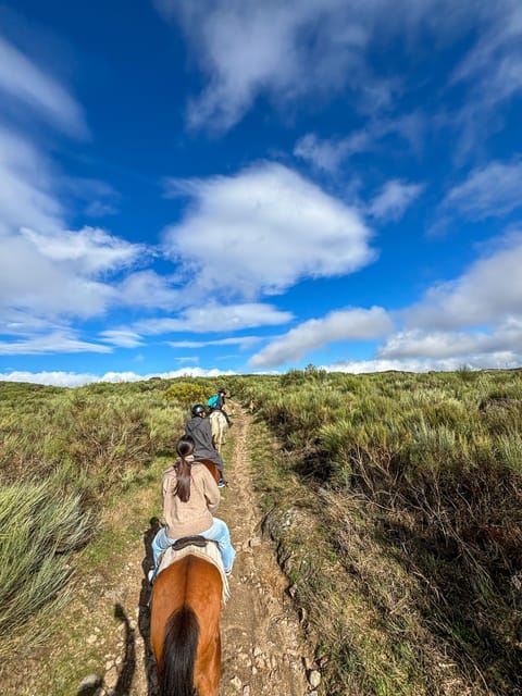 Mountain Horseback Ride & Lunch - Price and value: is $282 actually fair?