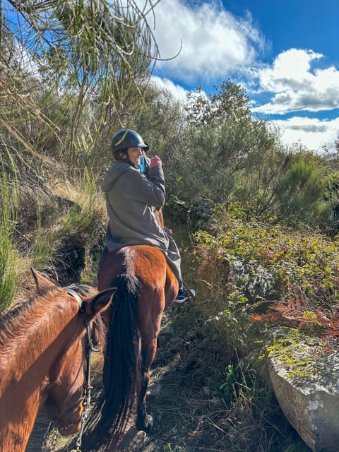 Mountain Horseback Ride & Lunch - Who this Douro horseback ride suits best