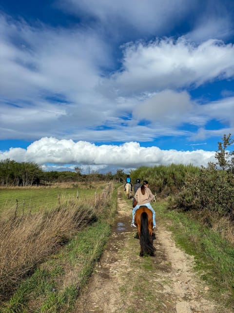 Mountain Horseback Ride & Lunch - Should you book this Mountain Horseback Ride & Lunch?