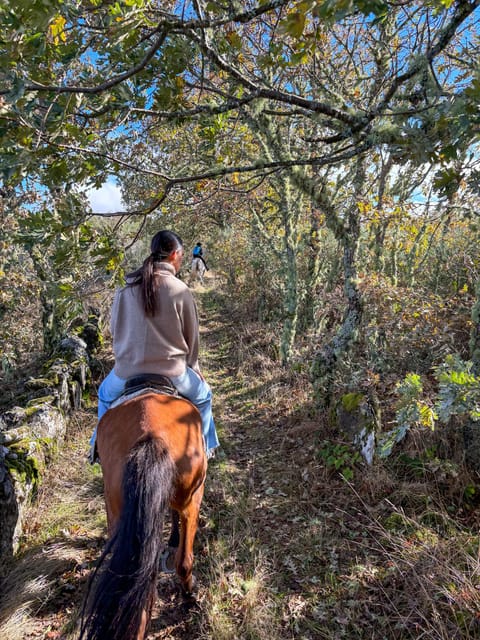 Mountain Horseback Ride & Lunch - FAQ