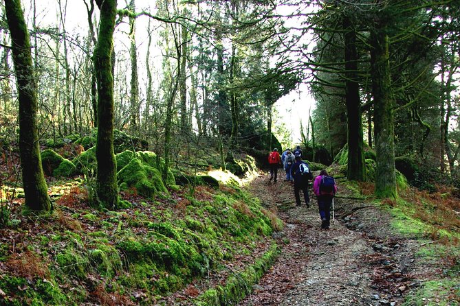 Nozzle Horn Protected Landscape Area - Stop 1: Corno de Bico Protected Landscape Area hike with Portugal’s oak woods