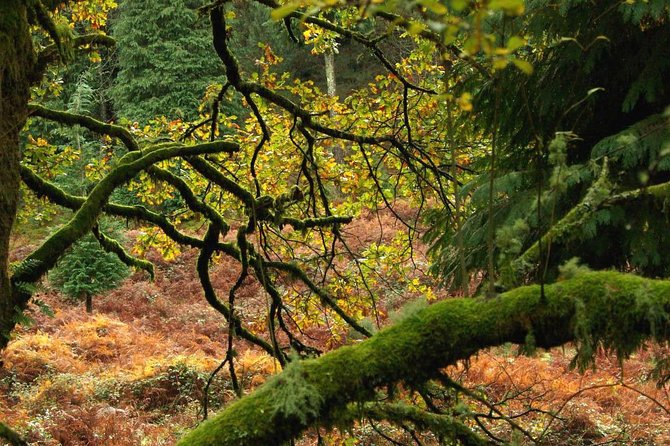 Nozzle Horn Protected Landscape Area - Timing and pace: plan for about half hiking