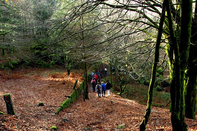 Nozzle Horn Protected Landscape Area - Who this tour suits best, and who should skip it