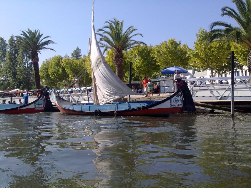 Panoramic Boat City Tour in Aveiro - Art Nouveau along the estuary, plus a factory contrast you will notice fast