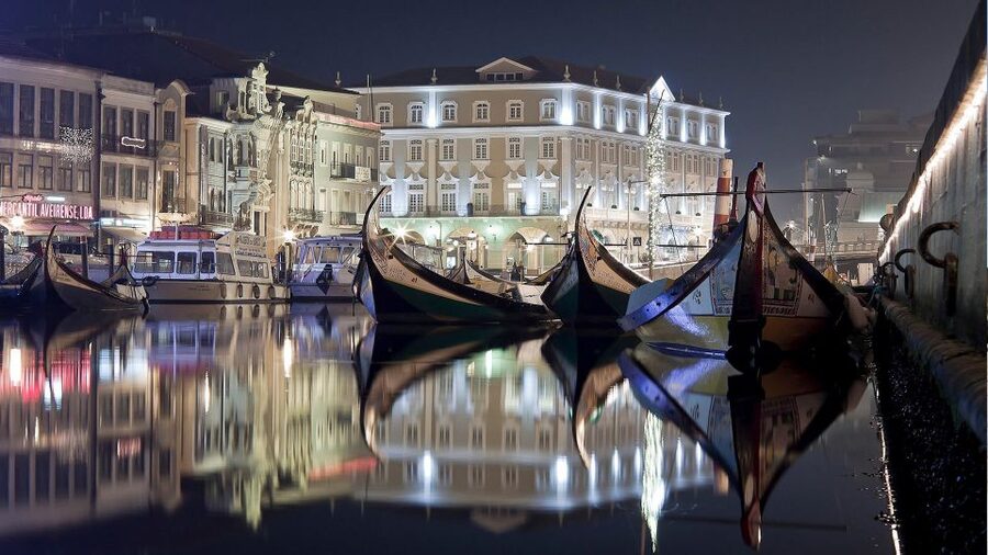 Panoramic Boat City Tour in Aveiro - Pace, language mix, and the one health warning you cannot ignore