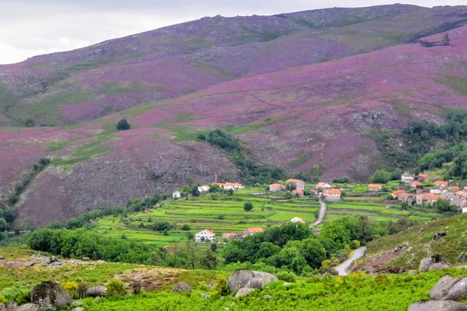 Peneda-Gerês Hiking & Sightseeing: Private Experience - Getting there smoothly from Porto, Braga, and Guimarães