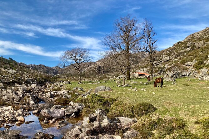 Peneda-Gerês Hiking & Sightseeing: Private Experience - Weather, timing, and what to pack so the day stays fun