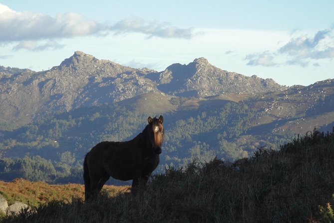 Peneda-Gerês National Park - A Time Travel Through The Mountains - - Medieval Military Architecture in a Border Story