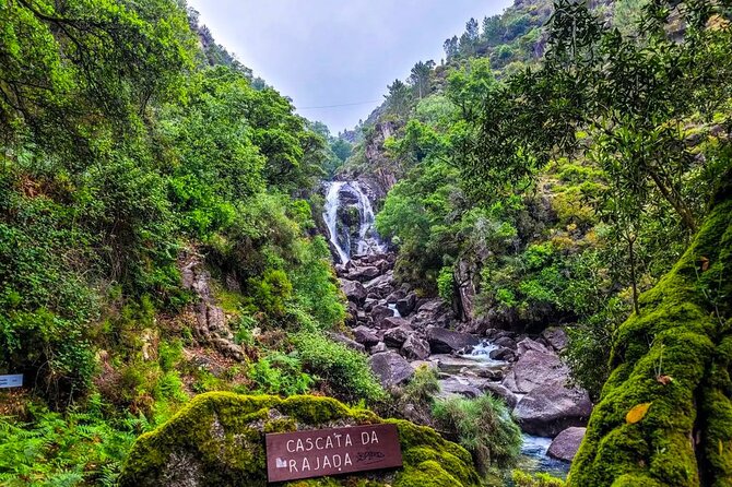 Peneda - Gerês National Park Lagoons and Waterfalls -Private Tour - Peneda-Gerês is Portugal’s nature day trip, with a human guide