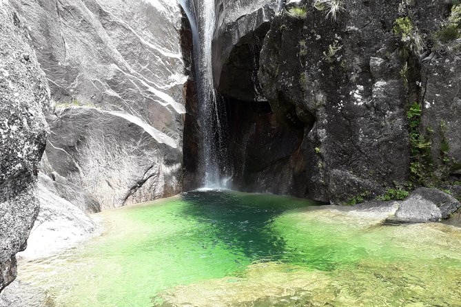 Peneda-Gerês National Park - Nature & Tastings - - Waterfall and Lagoon Stop: Where You Actually Get to Swirl in the Water