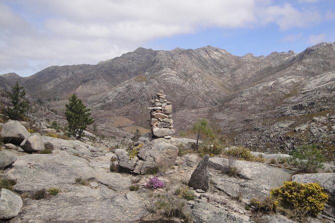 Peneda-Gerês National Park - Nature & Tastings - - Price and Value: Is $234.30 Worth It?