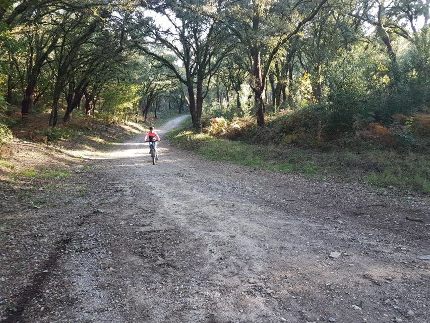 Peneda Gerês National Park: Self-Guided Electric Bike Tour - Key things to know before you ride