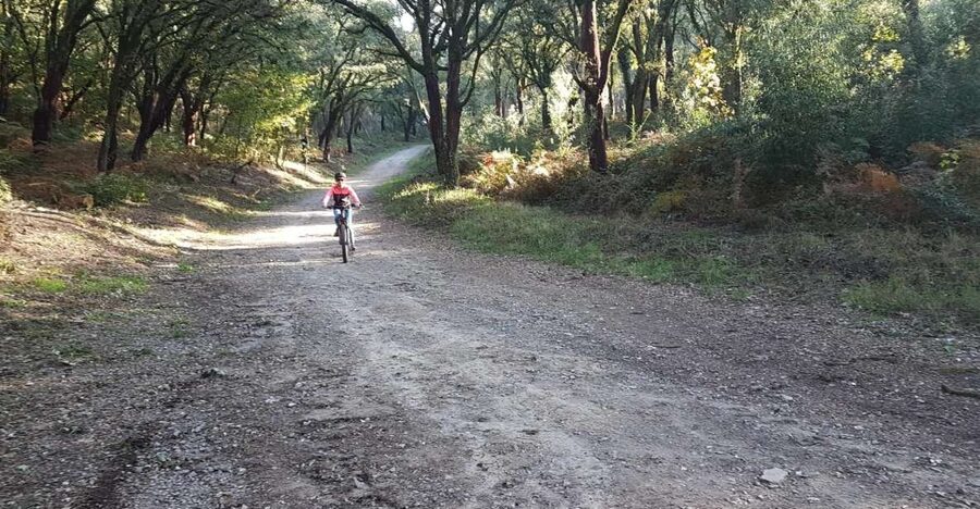 Peneda Gerês National Park: Self-Guided Electric Bike Tour - Why a self-guided e-bike makes sense in Peneda-Gerês
