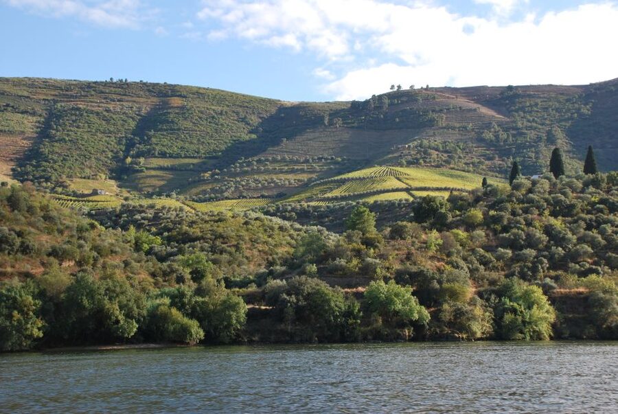 Pinhão: 2-Hour Rabelo Boat Tour with Audio Guide - Price and value: is $35 worth it?