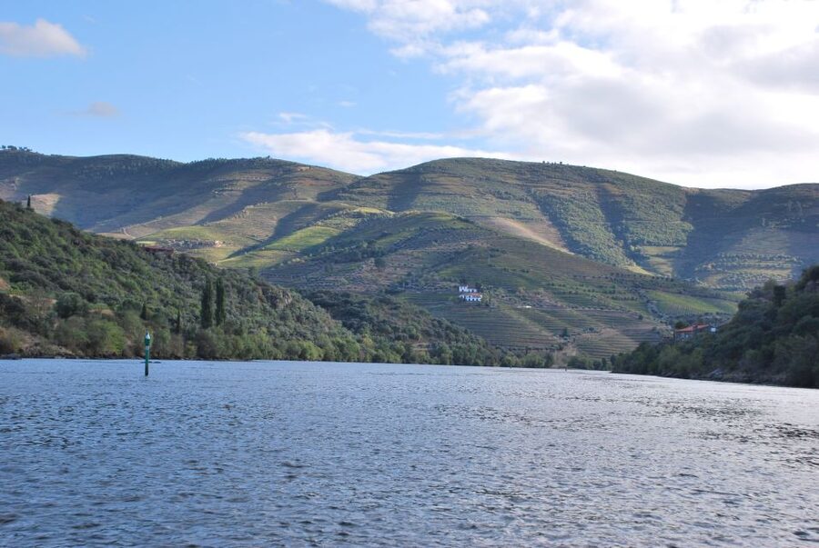 Pinhão: 2-Hour Rabelo Boat Tour with Audio Guide - Service quality: crew help and the human touch