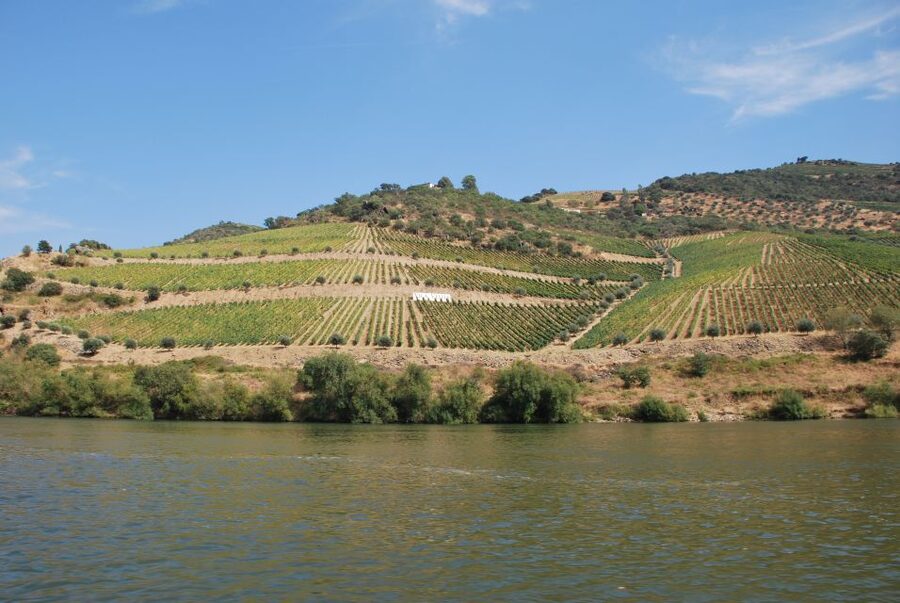 Pinhão: 2-Hour Rabelo Boat Tour with Audio Guide - Why the Douro Valley feels different from the river