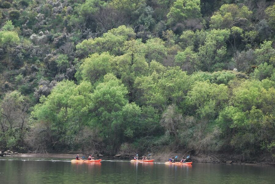 Pinhão: 4 Hour Douro Valley Kayak Rental - The 4-hour paddle: how your time on the water is likely to feel