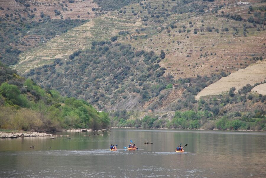 Pinhão: 4 Hour Douro Valley Kayak Rental - Price and logistics: what you’re really paying for