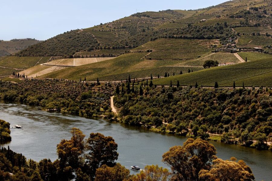 Pinhão: Douro River Boat Tour with Lunch - The return by train to Pinhão: scenic, simple, and worth it