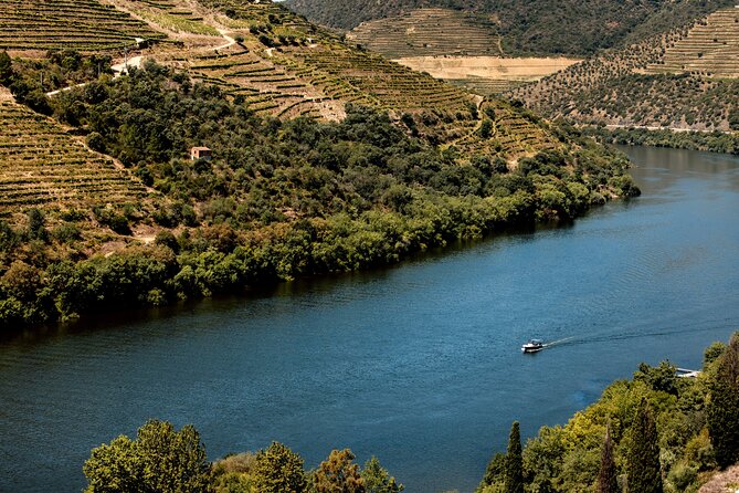 Pinhão: Douro River Cruise with Lunch Included - Fitting the lunch into a traditional Douro day