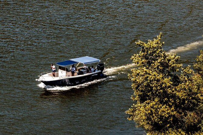 Pinhão: Douro River Cruise with Lunch Included - Cruising toward Foz Tua: what you get from the water time