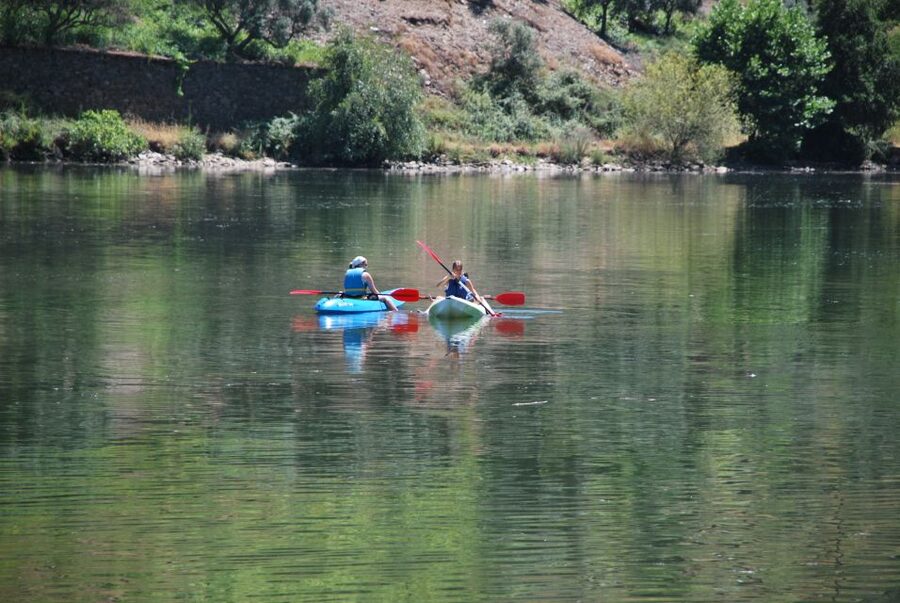 Pinhão: Douro Valley Rabelo Boat Tour and Kayak Experience - Switching to Kayak at Tua: Your 12-Kilometer Return
