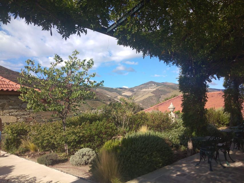 Pinhão: Douro Valley with Wine Tasting, Boat Trip and Lunch - Who should book, and who should skip