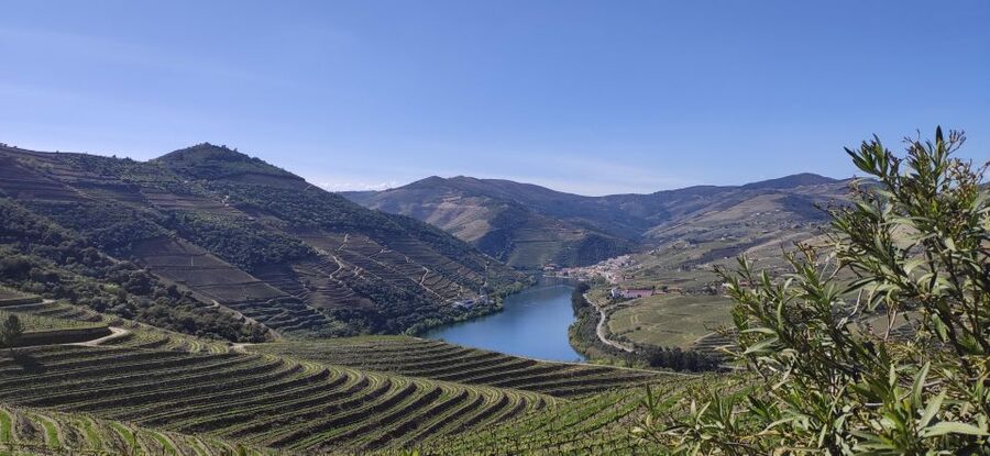 Pinhão: Douro Valley with Wine Tasting, Boat Trip and Lunch - Getting around in an AC minivan with a real local guide