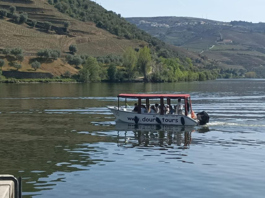 Pinhão: Douro Valley with Wine Tasting, Boat Trip and Lunch - Lunch in Pinhão: a full meal with port, not a quick bite