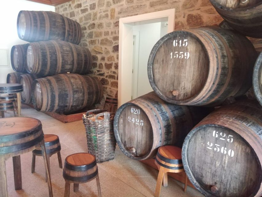 Pinhão: Douro Valley with Wine Tasting, Boat Trip and Lunch - Price and value: what you’re really paying for at $116