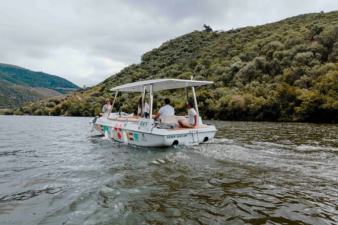Pinhão: Electric Boat Experience 1h - Taste of Two Wines - How This Fits a Douro Day (Especially If You’re Short on Time)