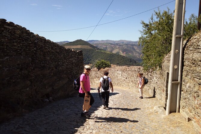 Pinhão Hiking Tour - The Hike Itself: 370 Meters of Elevation, Not a Stroll
