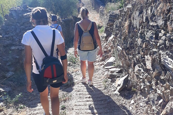 Pinhão Hiking Tour - What to Bring: Shoes, Water, and a Weather Plan