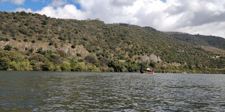 Pinhão: Private Rabelo Boat Tour along the River Douro - Who This Private Rabelo Tour Suits Best