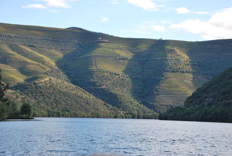 Pinhão: Private Rabelo Boat Tour along the River Douro - Roncão Turnaround: Same River, Different Angles