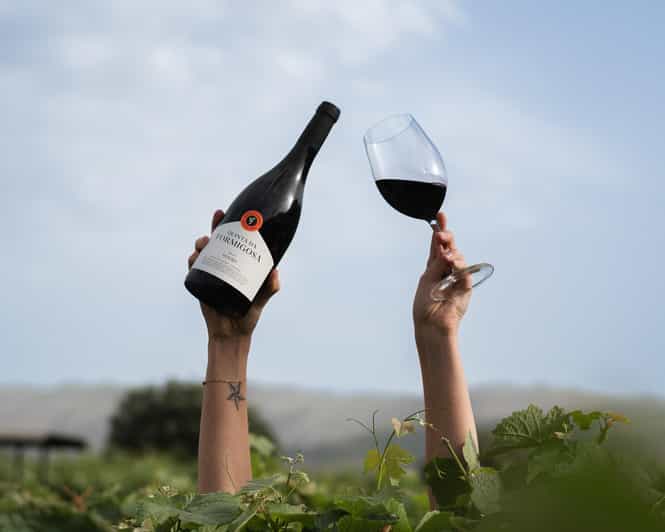 Pinhão: Quinta da Formigosa Vineyard Tour and Wine Tasting - Vineyard walk: learning how care shows up in taste