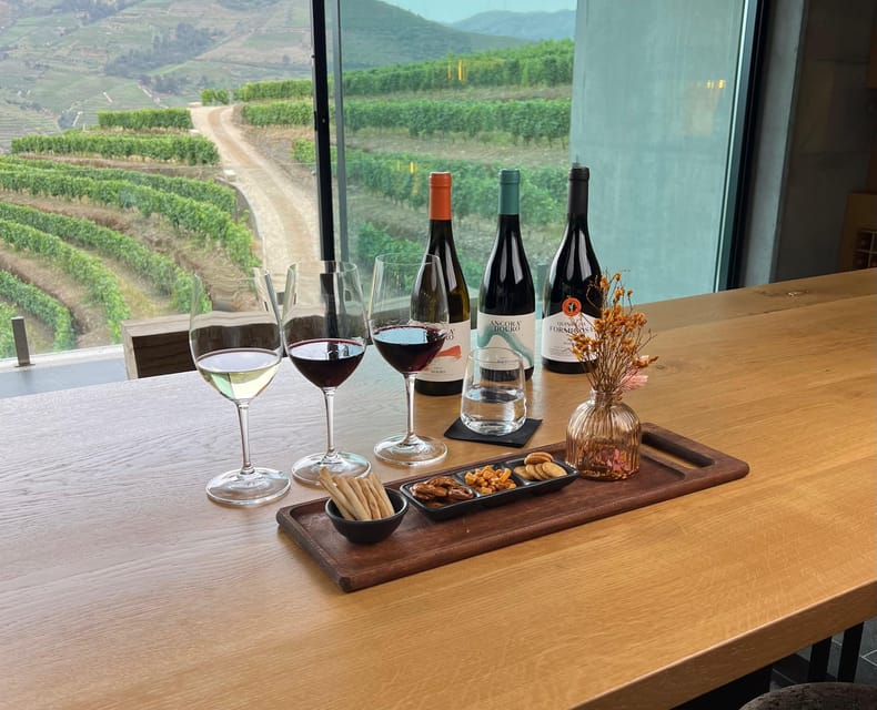 Pinhão: Quinta da Formigosa Vineyard Tour and Wine Tasting - Inside the winery: how grapes become wine, step by step