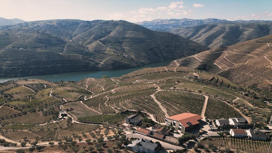 Pinhão: Quinta da Formigosa Vineyard Tour and Wine Tasting - Value and timing: is $35 for 1.5 hours a fair deal?