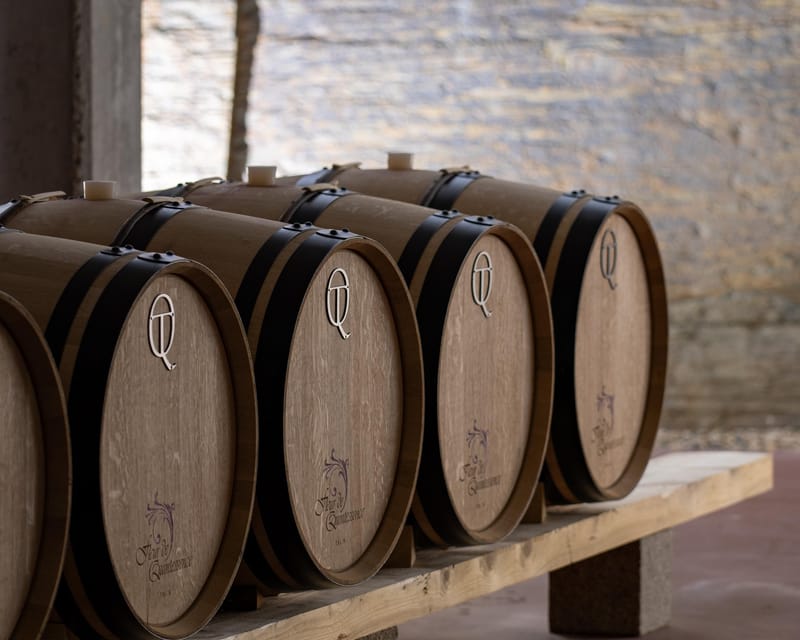 Pinhão: Quinta da Formigosa Vineyard Tour and Wine Tasting - Should you book? My practical recommendation