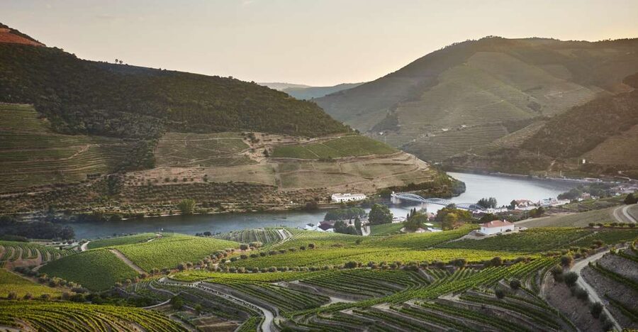 Pinhão: Quinta do Bomfim Visit and Tasting - Museum first: what you learn in the visitor center