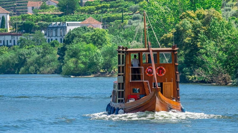 Pinhão: Rabelo Boat Cruise with a Port Tasting at a Winery - What you will see from the water: terraced vineyards and working estates