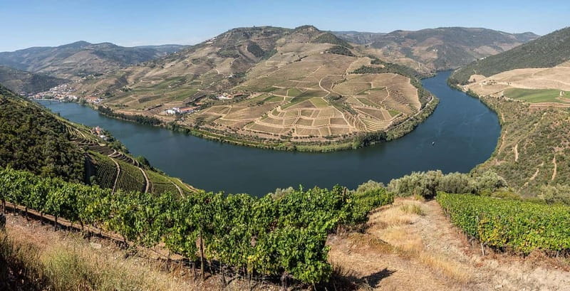 Pinhão: Rabelo Boat Cruise with a Port Tasting at a Winery - When the tasting wording matters: port vs wine