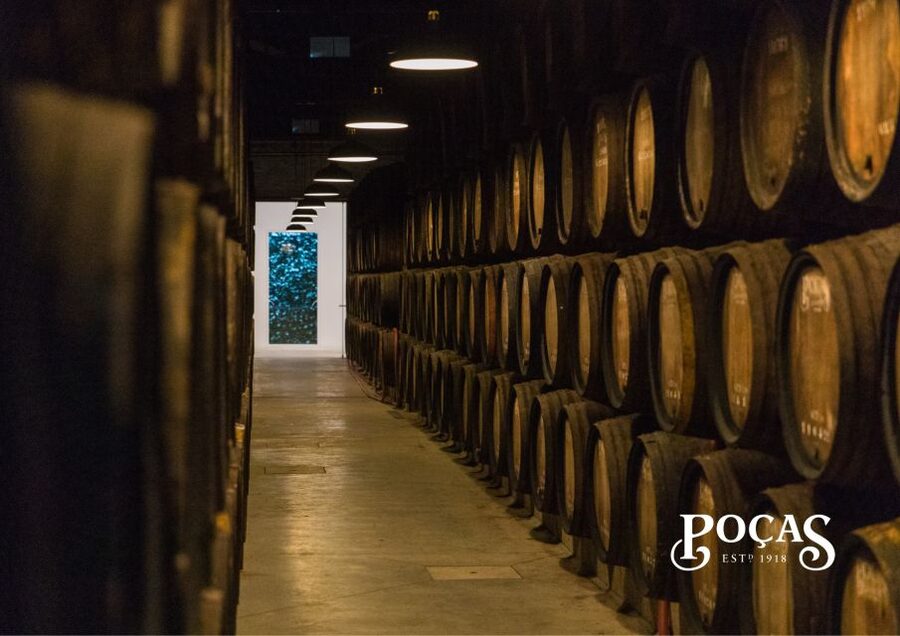 Poças: Guided Tour & Port Wine Tasting with Pastel de Nata - What to Watch For While You Taste