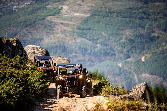 Ponte de Lima Guided Buggy Tour - Key highlights
