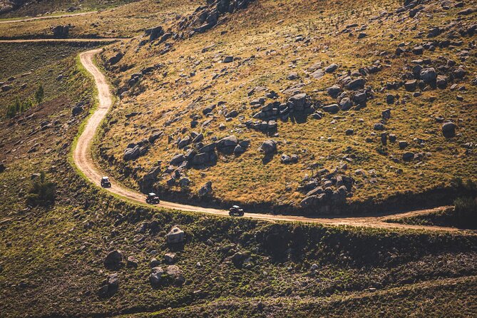Ponte de Lima Guided Buggy Tour - Why this buggy tour feels different near Ponte de Lima