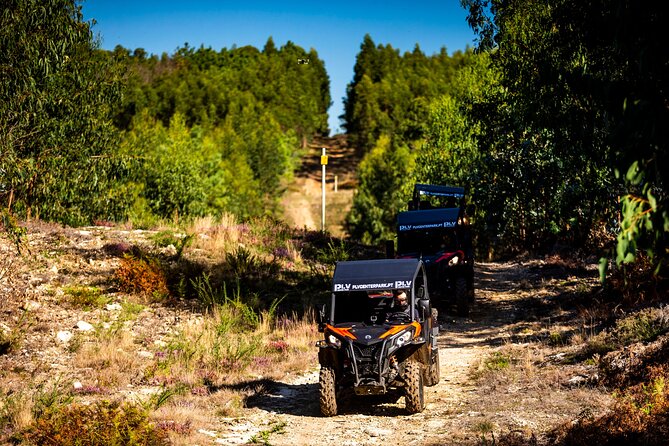Ponte de Lima Guided Buggy Tour - Stop 1: Ponte de Lima as your first “wow” moment