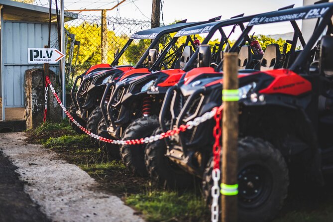 Ponte de Lima Guided Buggy Tour - Price and value for a 2-hour group buggy tour ($181.02 per group)