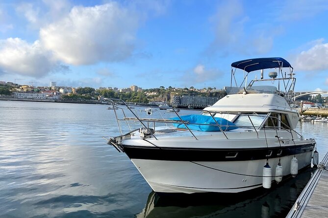 Port : 6 Bridges Cruise With Sunset option & Port wine - Douro River nature reserve to Foz do Rio Douro sunset