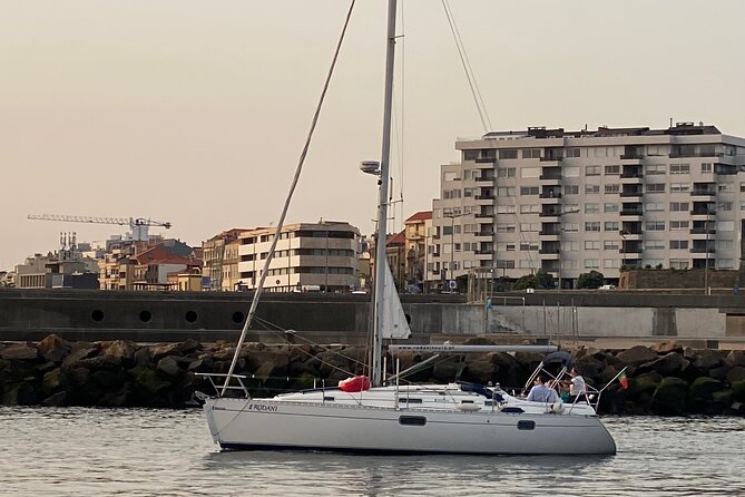 Port : Douro River Cruise (2 h) – Wine & Scenic Views - What This 2-Hour Douro Cruise Really Feels Like