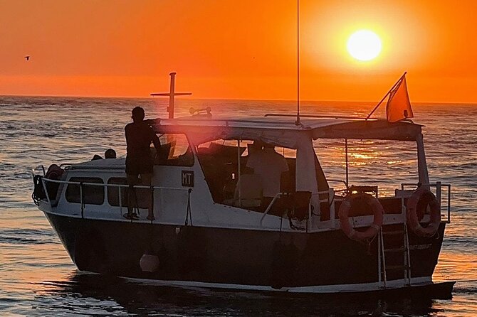 Port : private cruiser 6 Bridges and port wine tasting/Sunset - Ponte de São João: The Bridge with the No-Bow Design